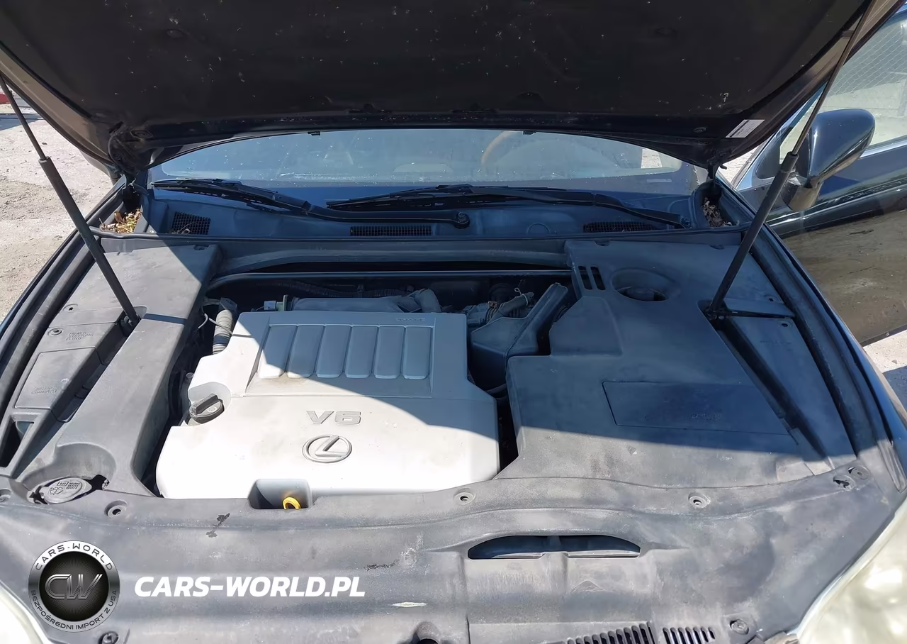 2007 Lexus Es 350 VIN:JTHBJ46G172136667 - 10