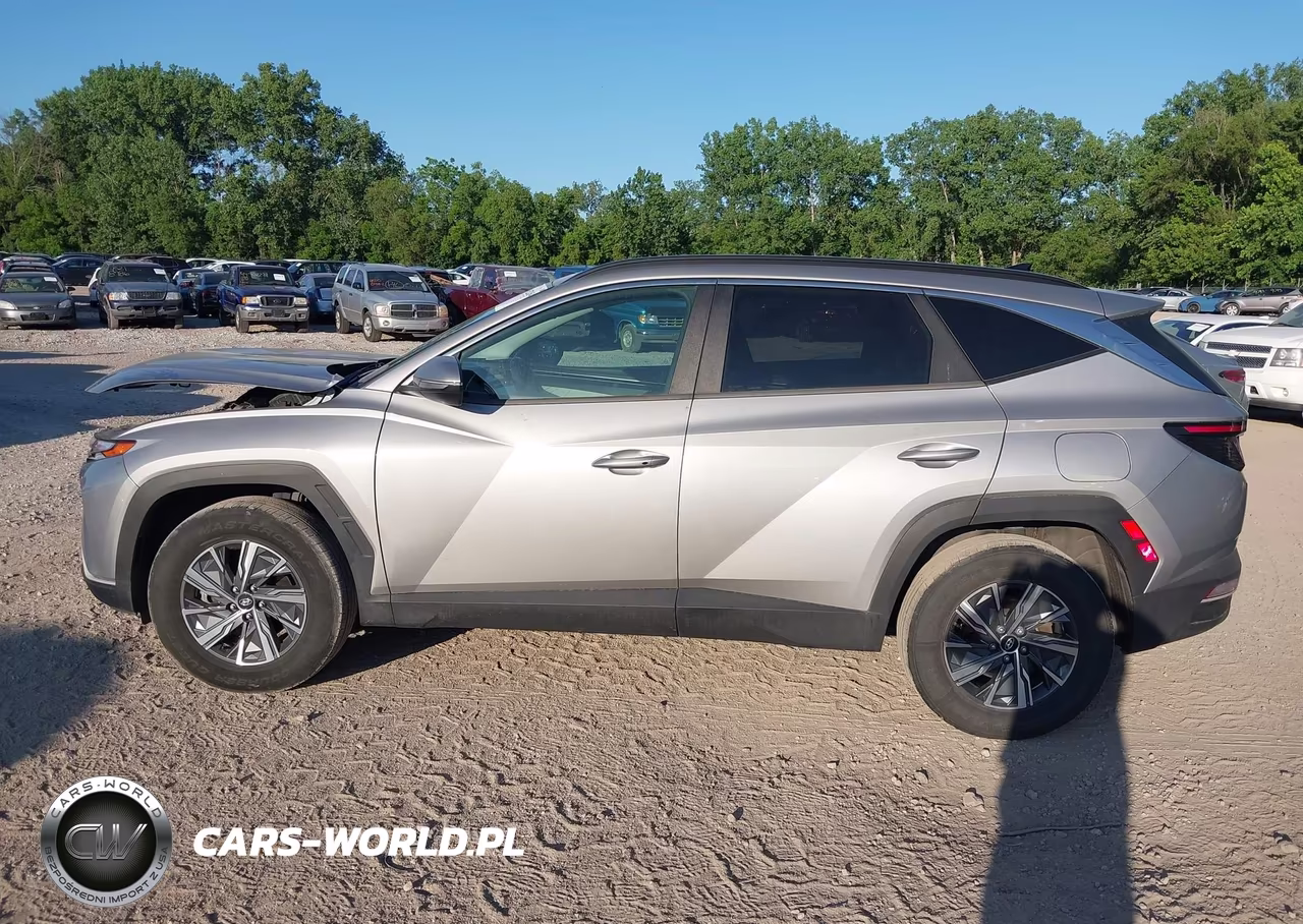 2022 Hyundai Tucson Hybrid Blue VIN:KM8JBCA14NU014051 - 14