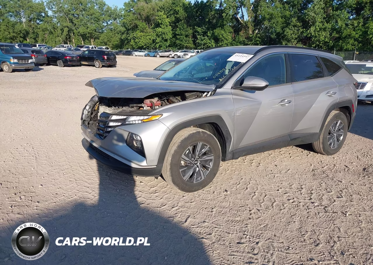 2022 Hyundai Tucson Hybrid Blue VIN:KM8JBCA14NU014051 - 2