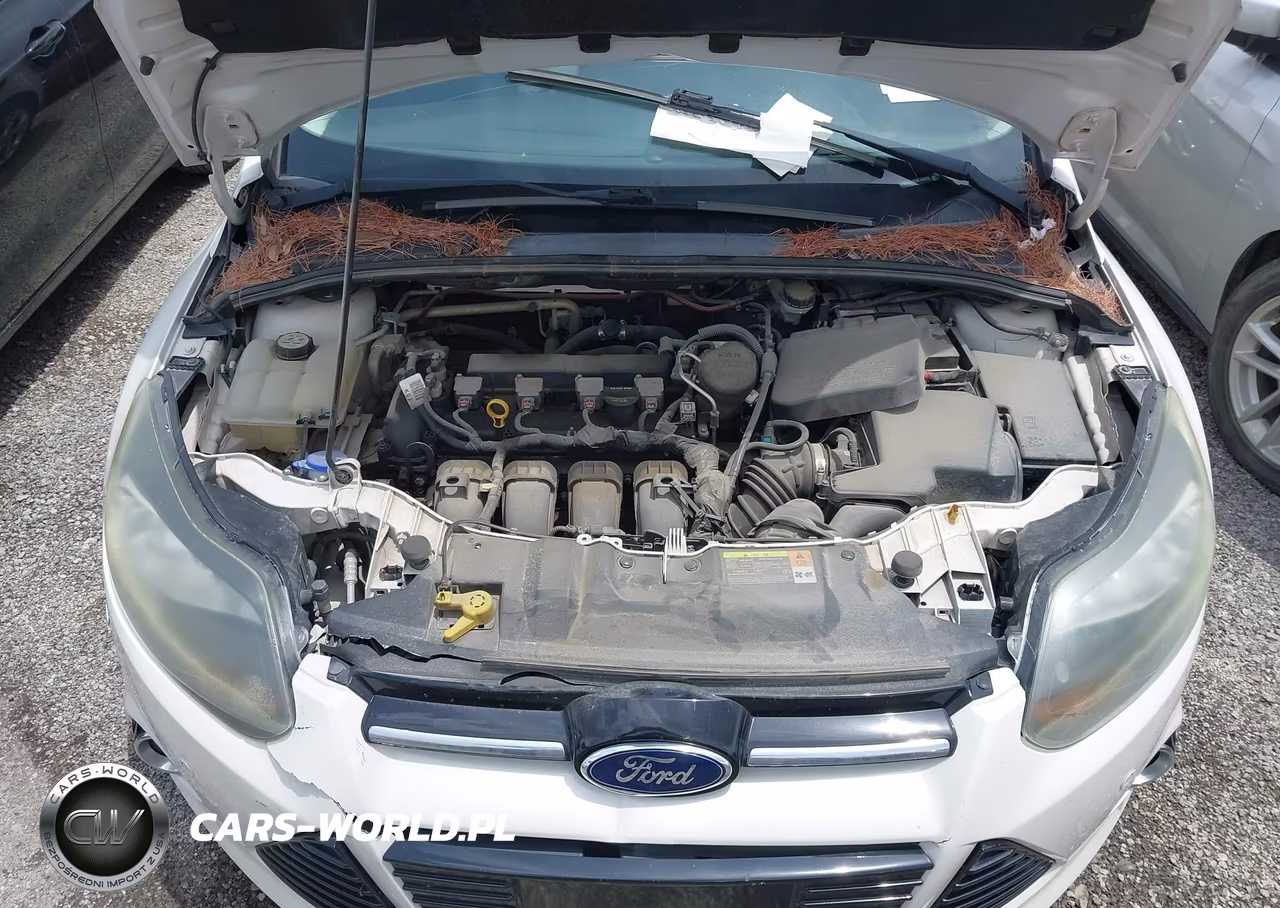 2013 Ford Focus Titanium VIN:1FADP3N22DL144572 - 10