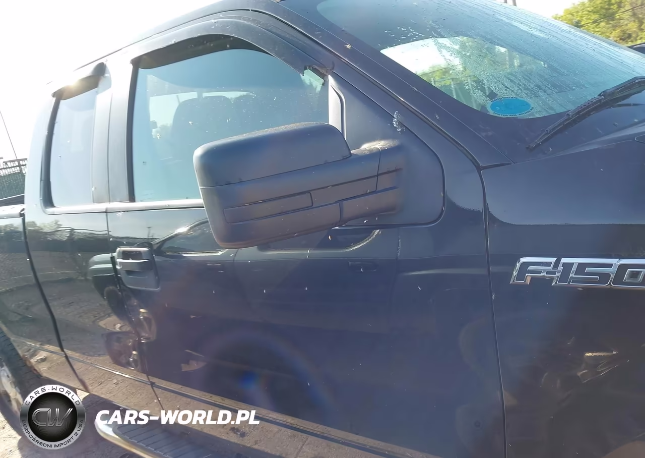 2010 Ford F-150 Stx-Xl VIN:1FTEX1EW4AFB96298 - 13
