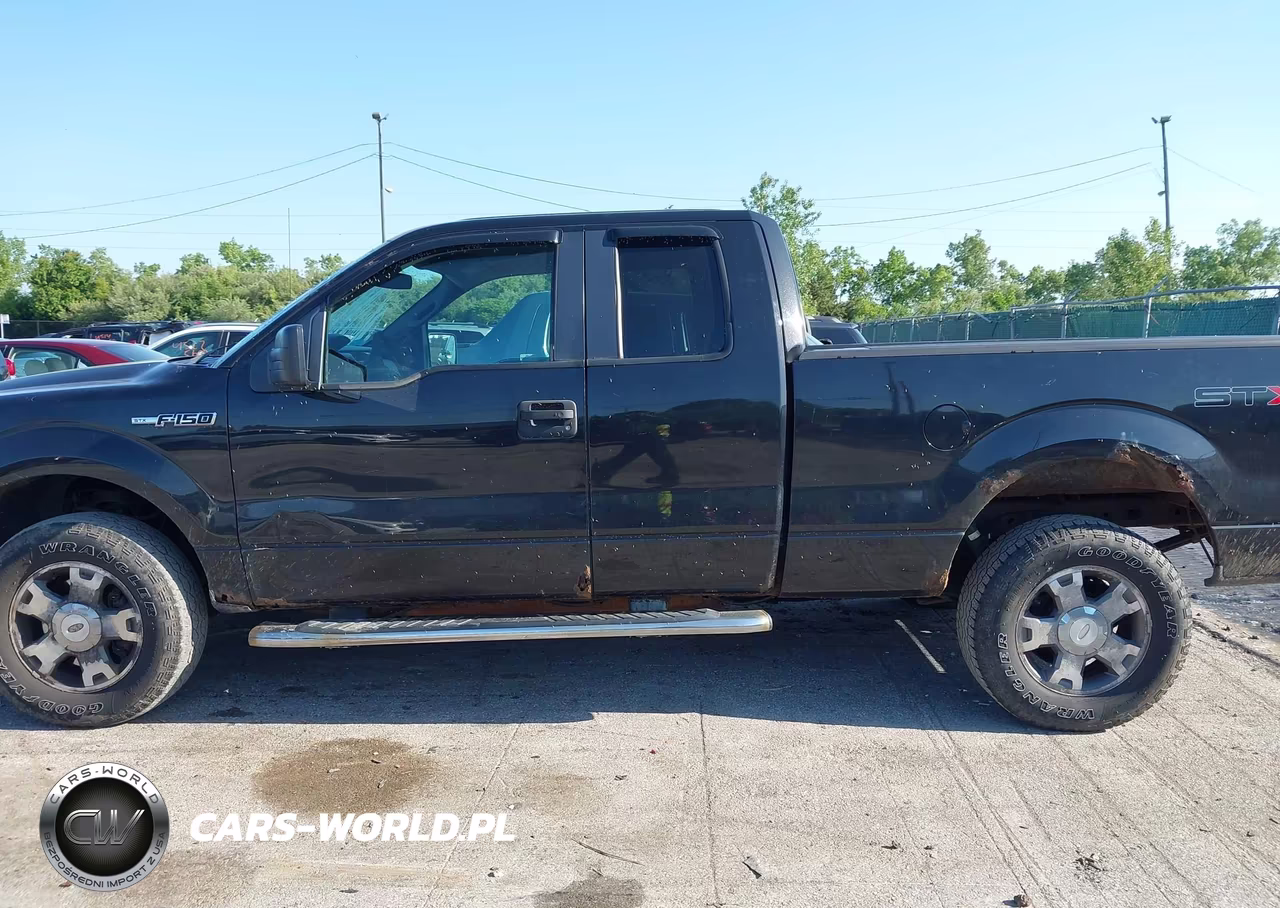 2010 Ford F-150 Stx-Xl VIN:1FTEX1EW4AFB96298 - 14