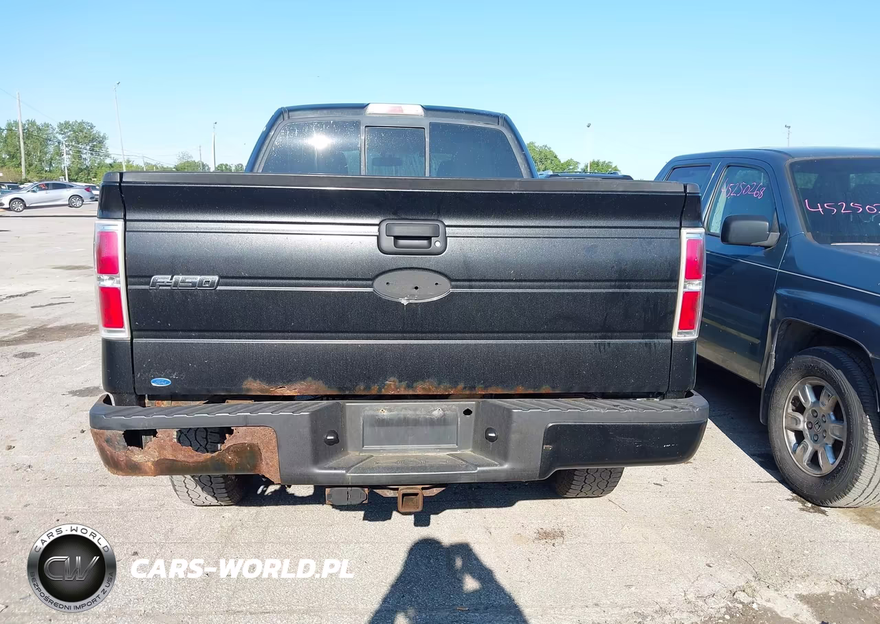 2010 Ford F-150 Stx-Xl VIN:1FTEX1EW4AFB96298 - 16