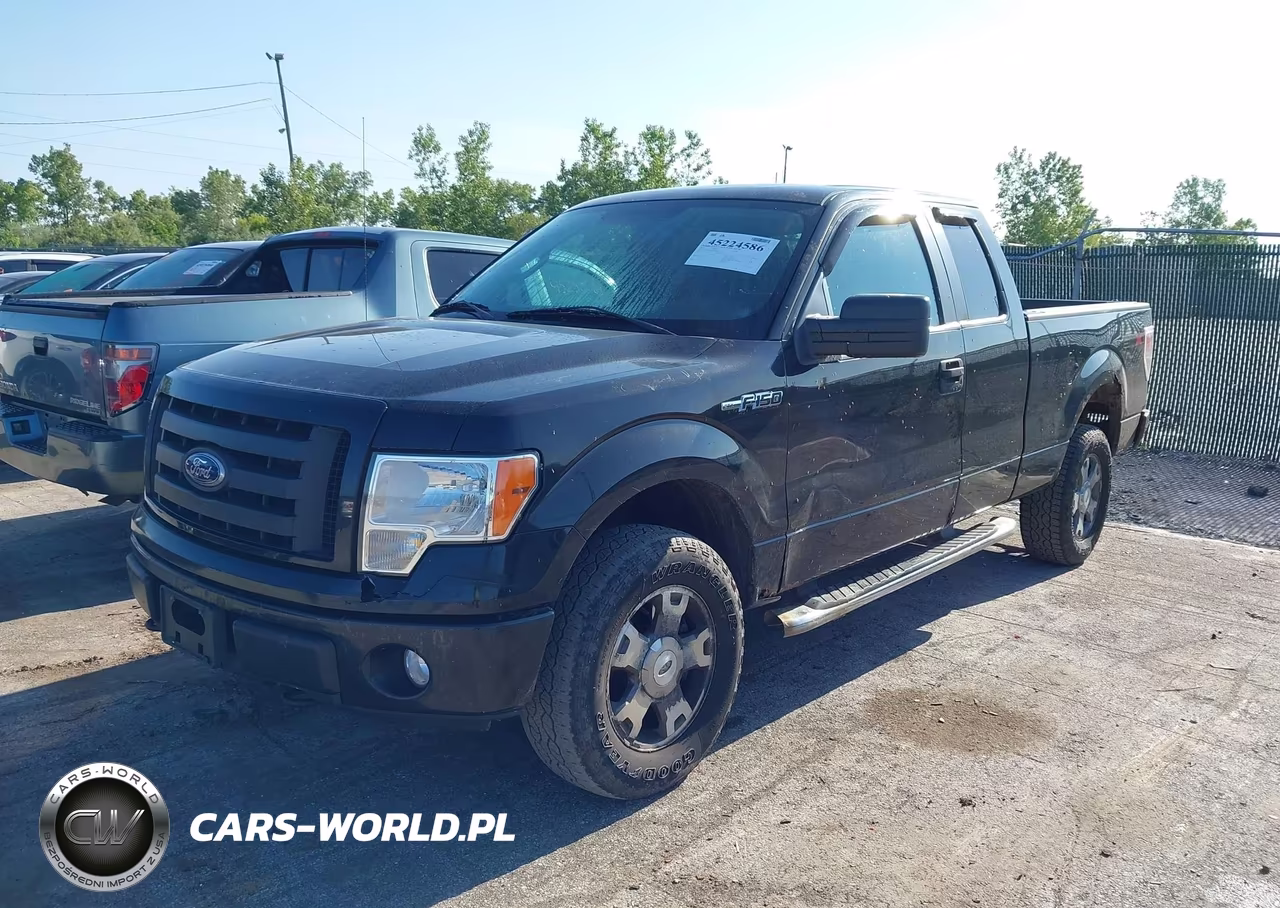 2010 Ford F-150 Stx-Xl VIN:1FTEX1EW4AFB96298 - 2