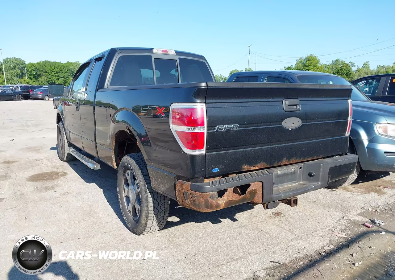 2010 Ford F-150 Stx-Xl VIN:1FTEX1EW4AFB96298 - 3