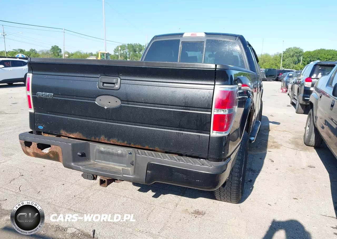 2010 Ford F-150 Stx-Xl VIN:1FTEX1EW4AFB96298 - 4