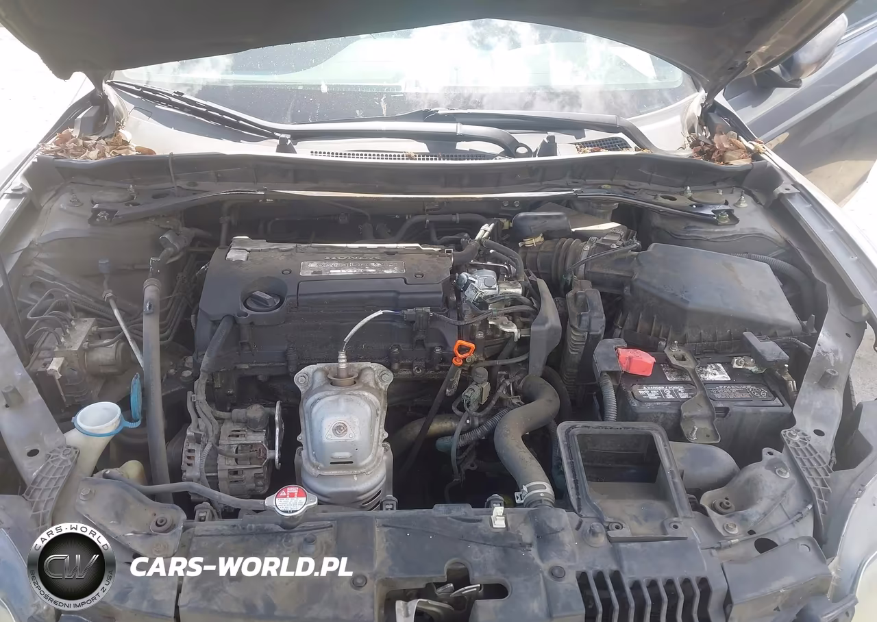 2013 Honda Accord Lx-S VIN:1HGCT1B37DA019342 - 10