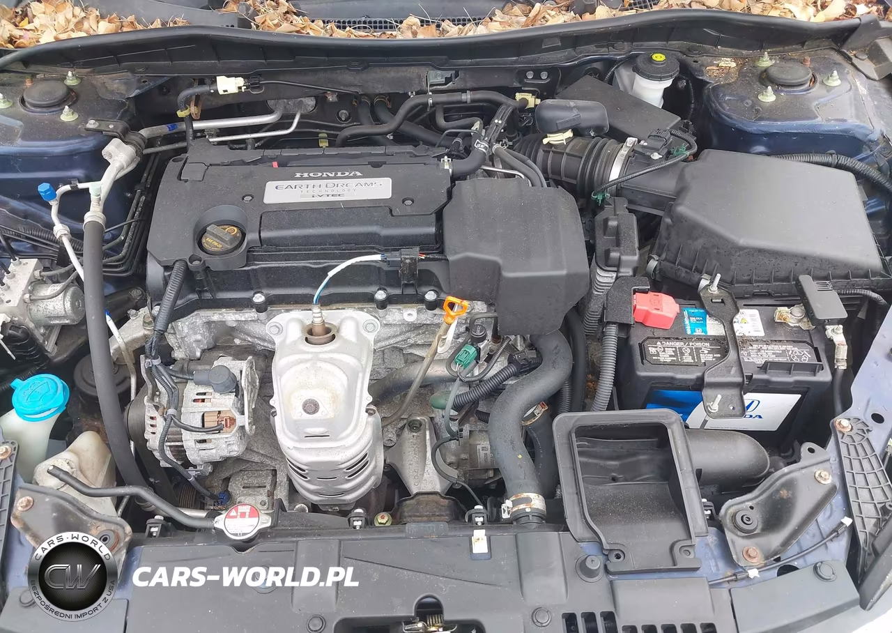 2013 Honda Accord Lx VIN:1HGCR2F36DA118832 - 10