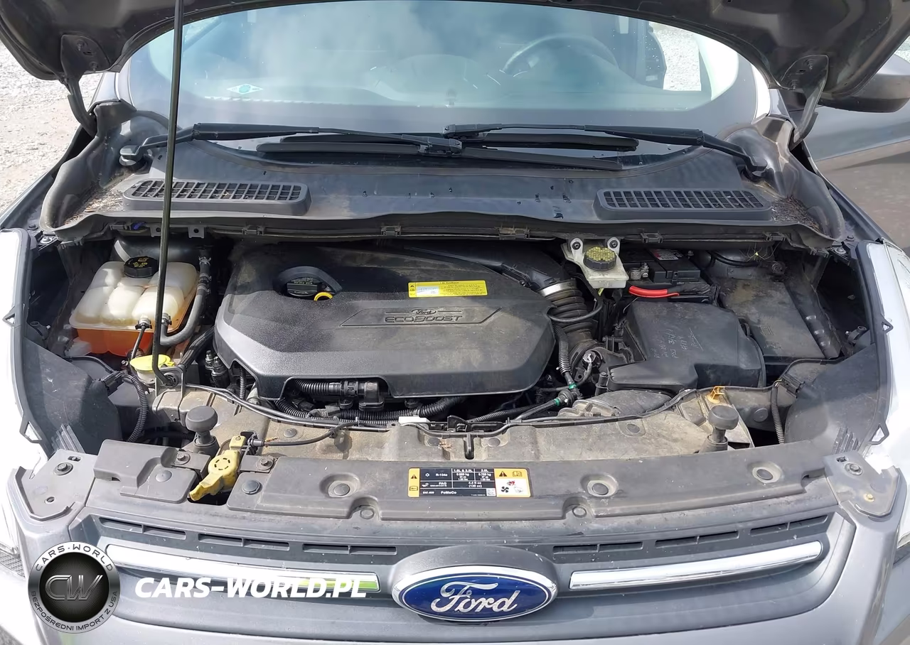 2014 Ford Escape Se VIN:1FMCU0GX9EUC66813 - 10