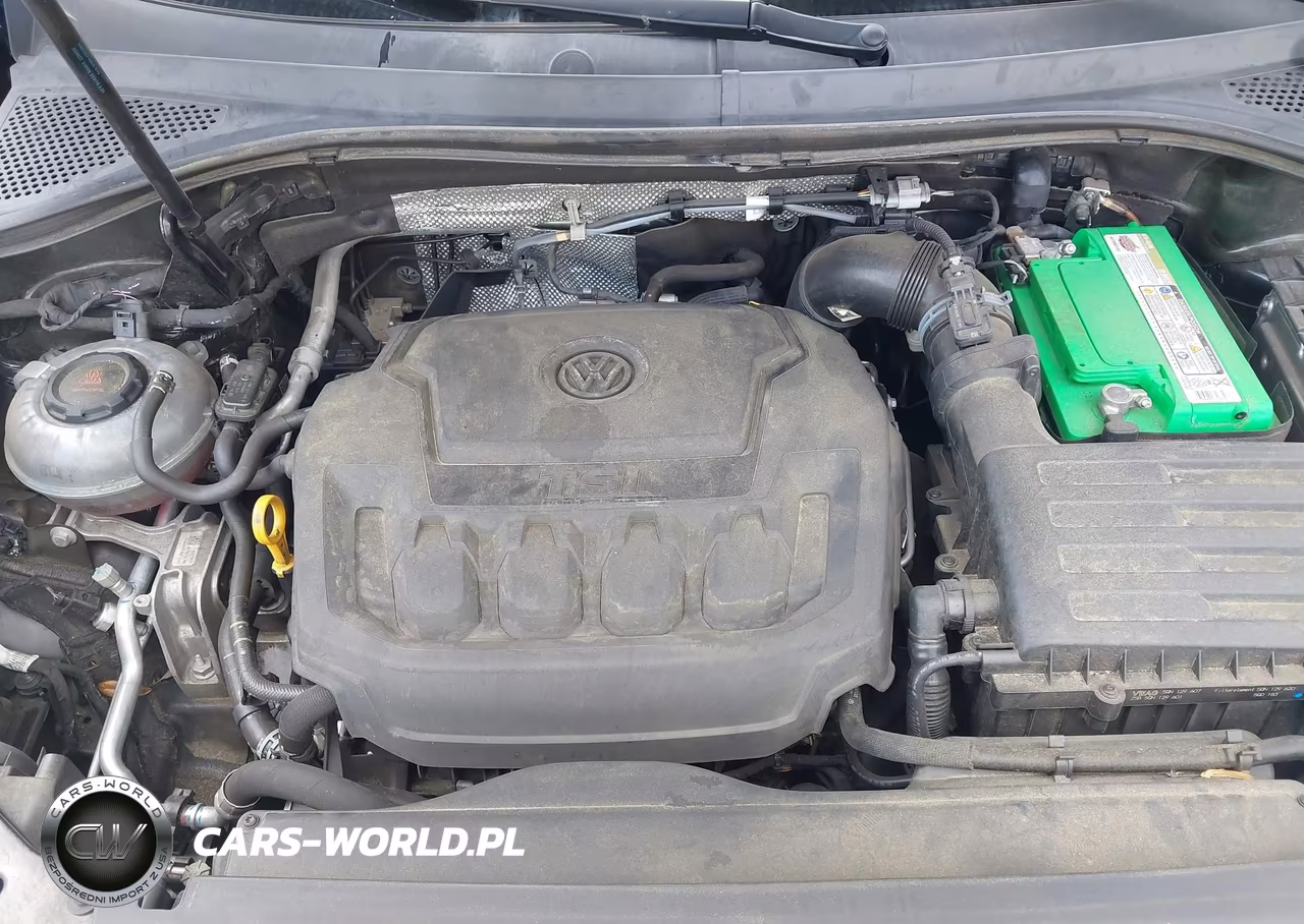 2019 Volkswagen Tiguan 2.0T S VIN:3VV1B7AX5KM142932 - 10