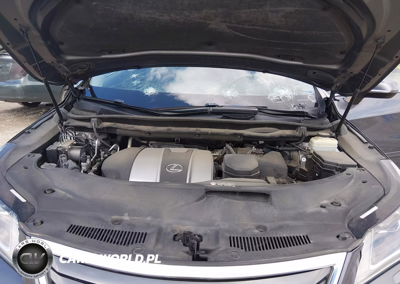 2017 Lexus Rx 350 VIN:2T2BZMCA9HC076128 - 10