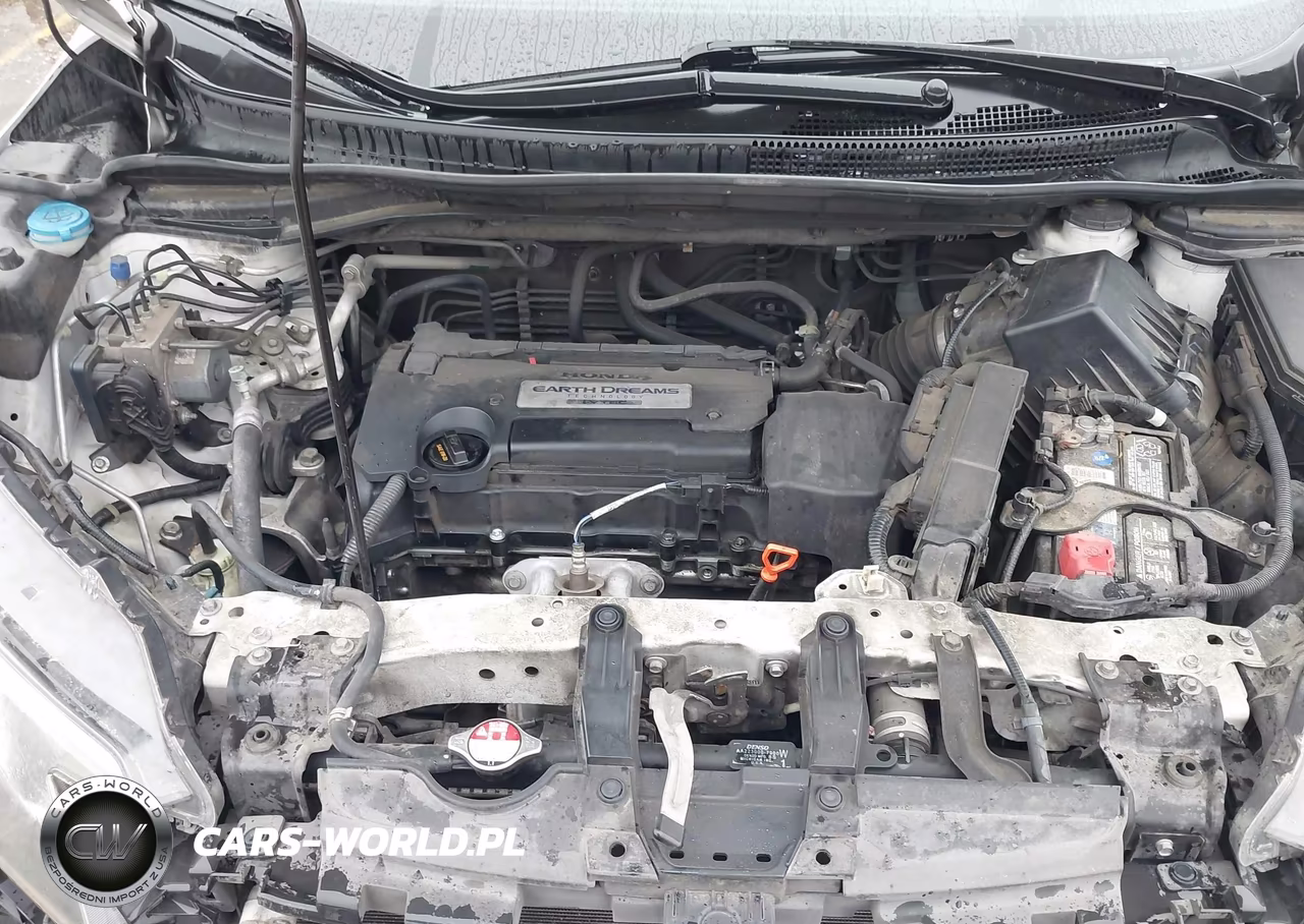 2015 Honda Cr-V Lx VIN:5J6RM4H38FL119014 - 10