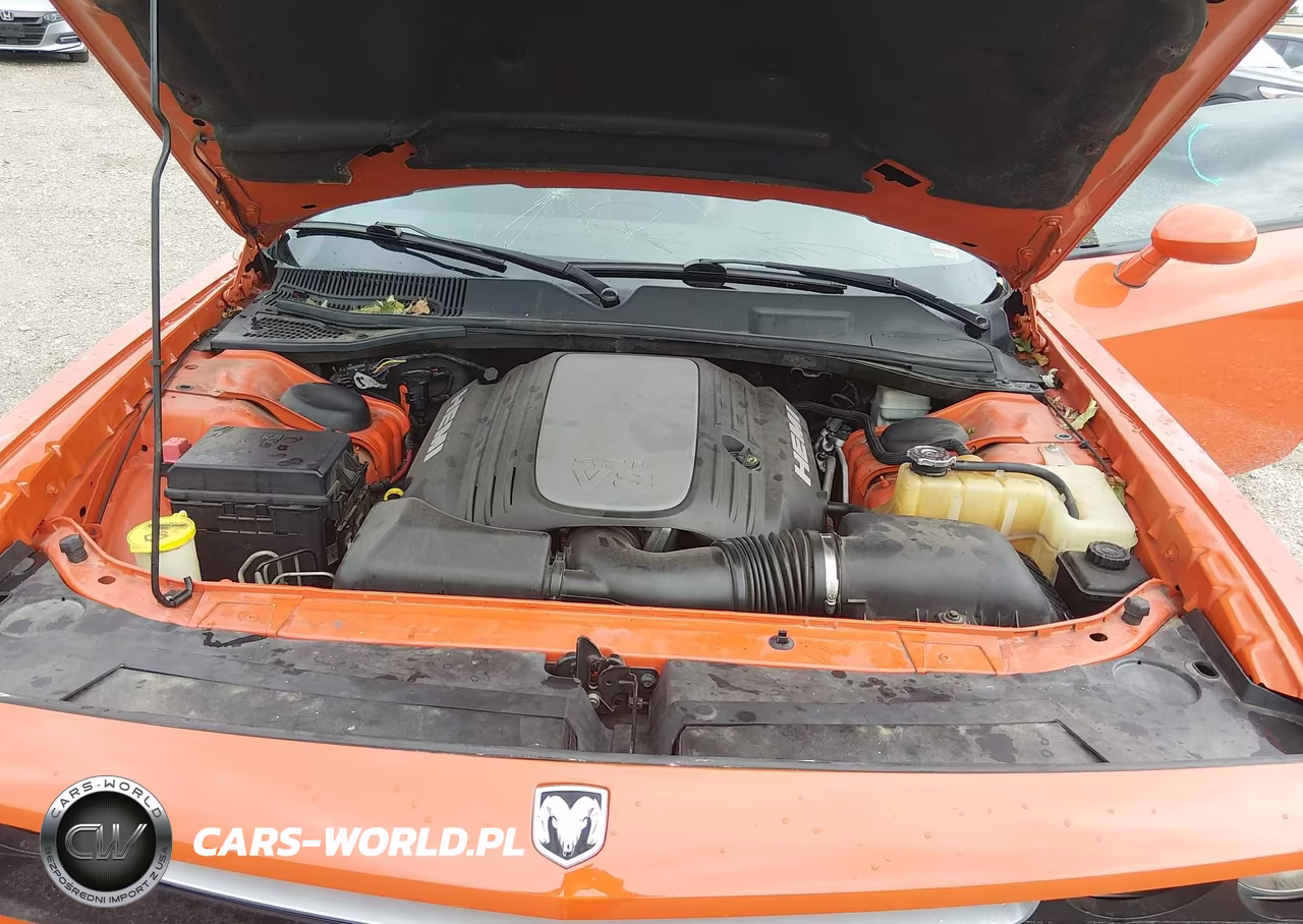2009 Dodge Challenger R-T VIN:2B3LJ54T89H509520 - 10