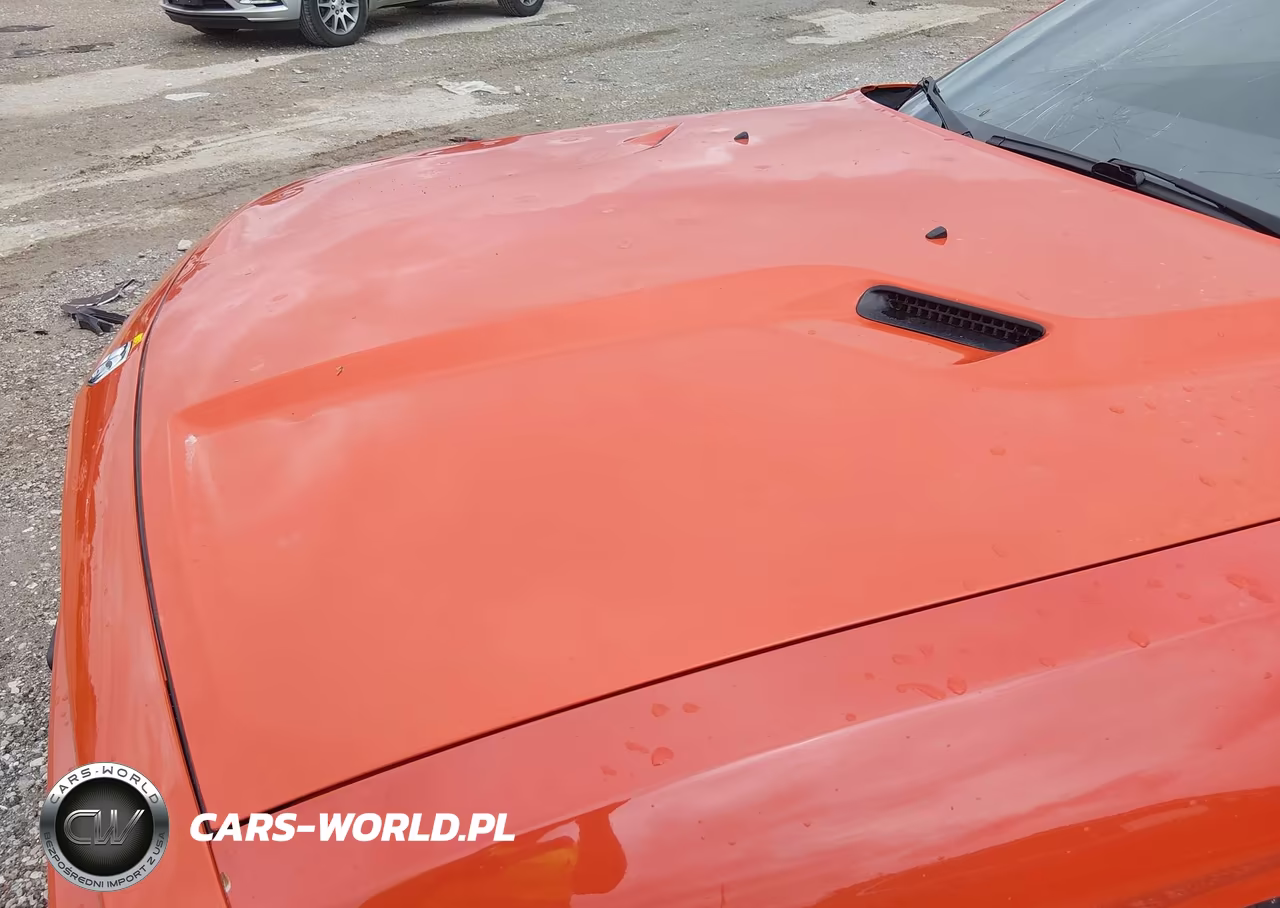 2009 Dodge Challenger R-T VIN:2B3LJ54T89H509520 - 6