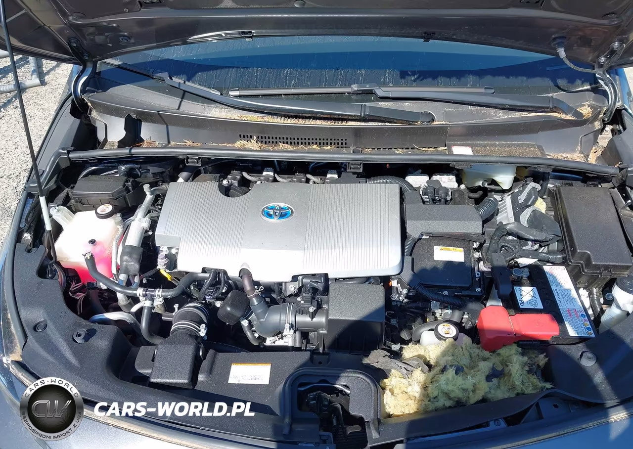 2019 Toyota Prius Prime Plus VIN:JTDKARFP8K3108849 - 10