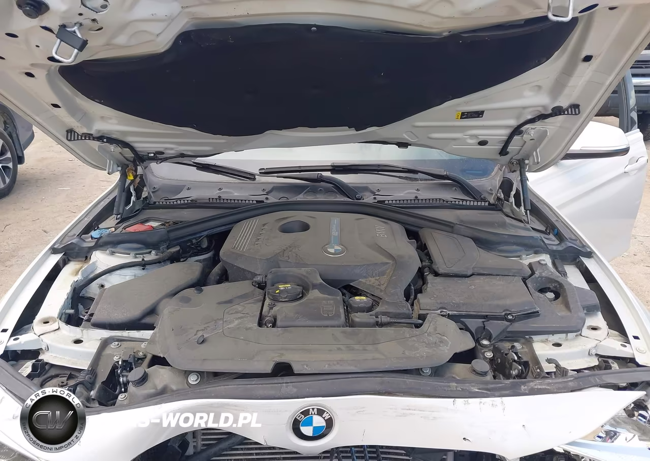 2017 BMW 330E Iperformance VIN:WBA8E1C38HA159044 - 10