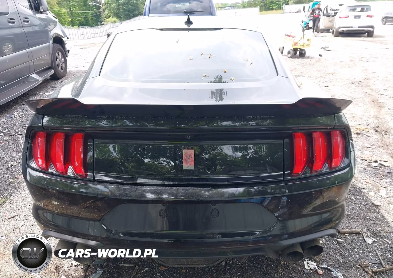 2020 Ford Mustang Gt Fastback VIN:1FA6P8CF2L5161483 - 16