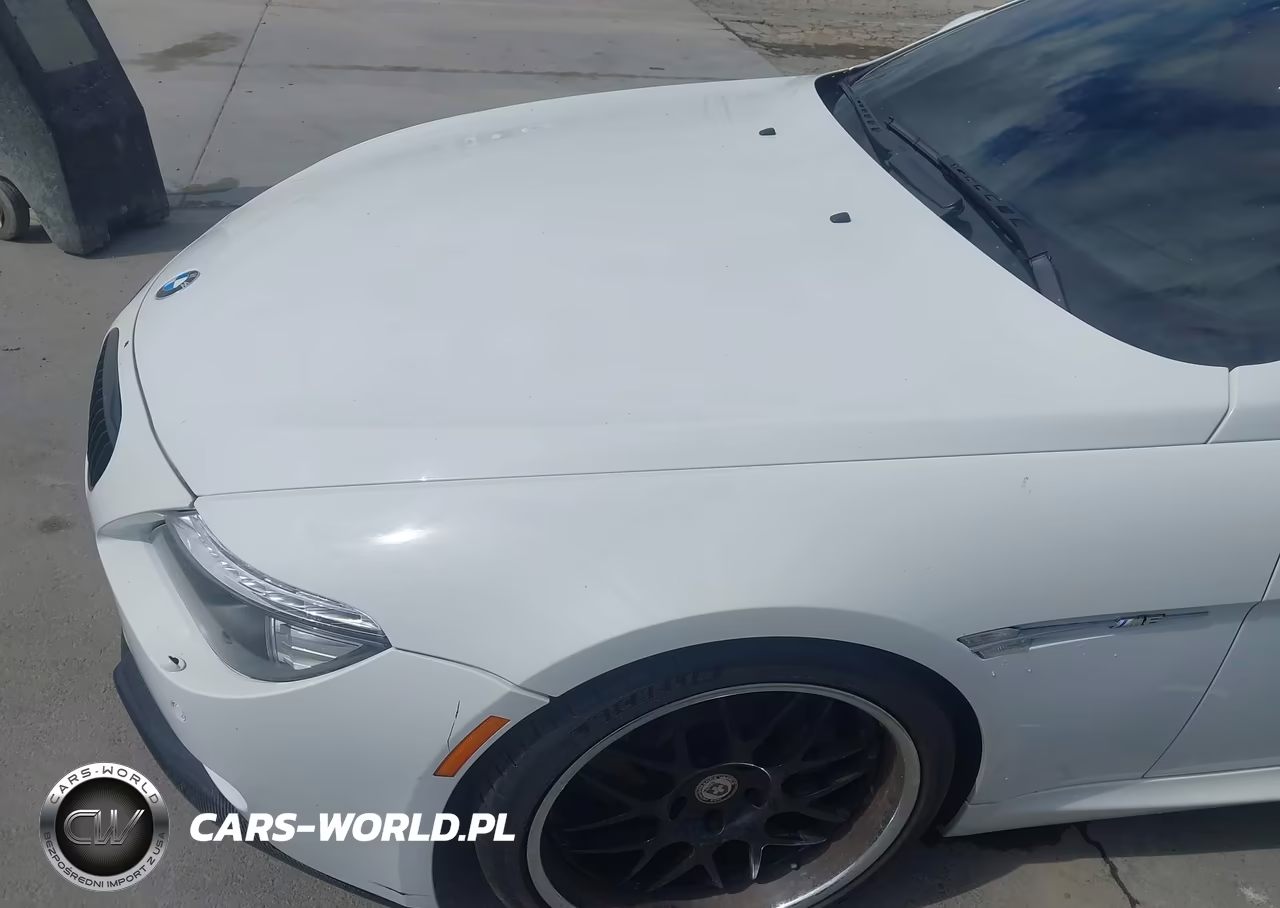 2010 BMW M6 VIN:WBSEH9C58ACY25139 - 6