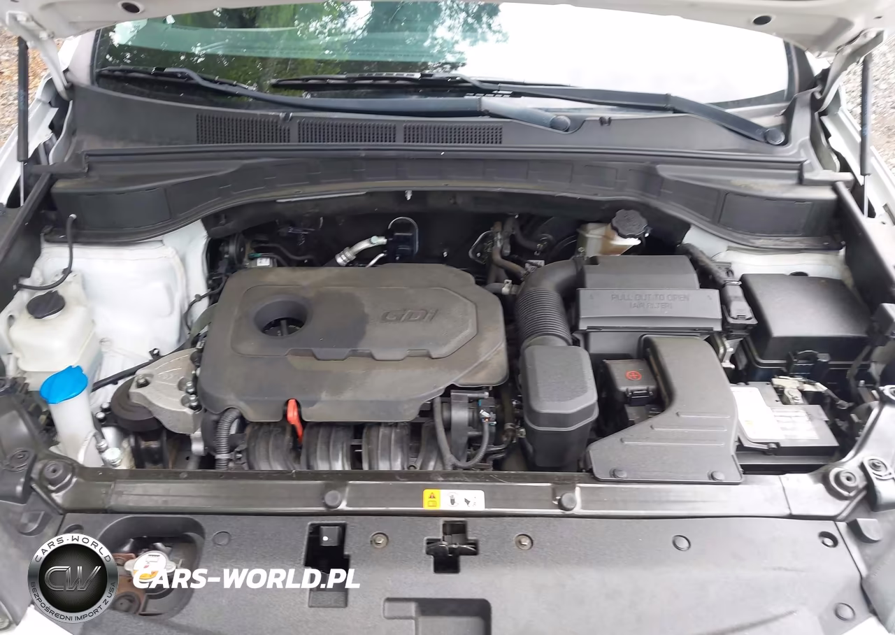 2018 Hyundai Santa Fe Sport 2.4L VIN:5NMZUDLB1JH099820 - 10