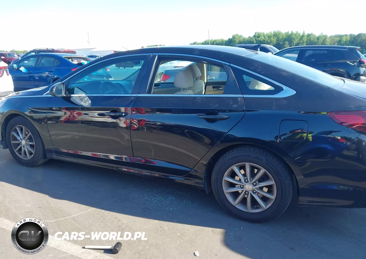 2019 Hyundai Sonata Se VIN:5NPE24AFXKH767127 - 13