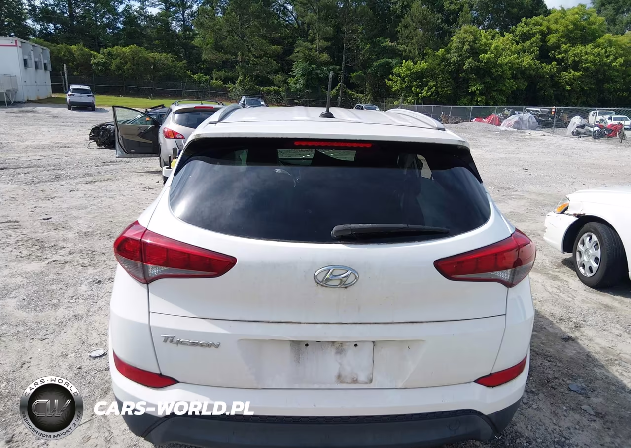 2016 Hyundai Tucson Se VIN:KM8J33A40GU059546 - 17