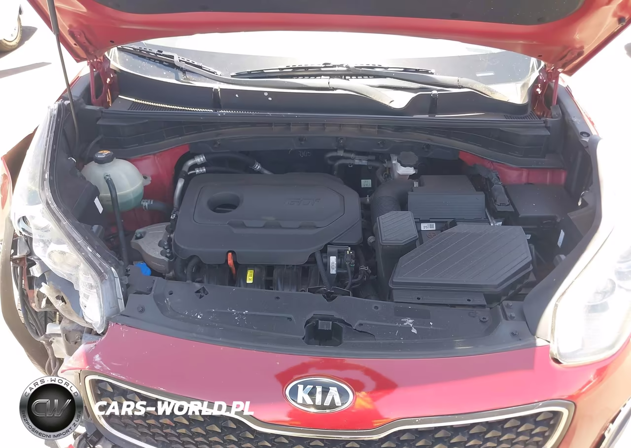 2017 Kia Sportage Lx VIN:KNDPM3AC6H7243831 - 10