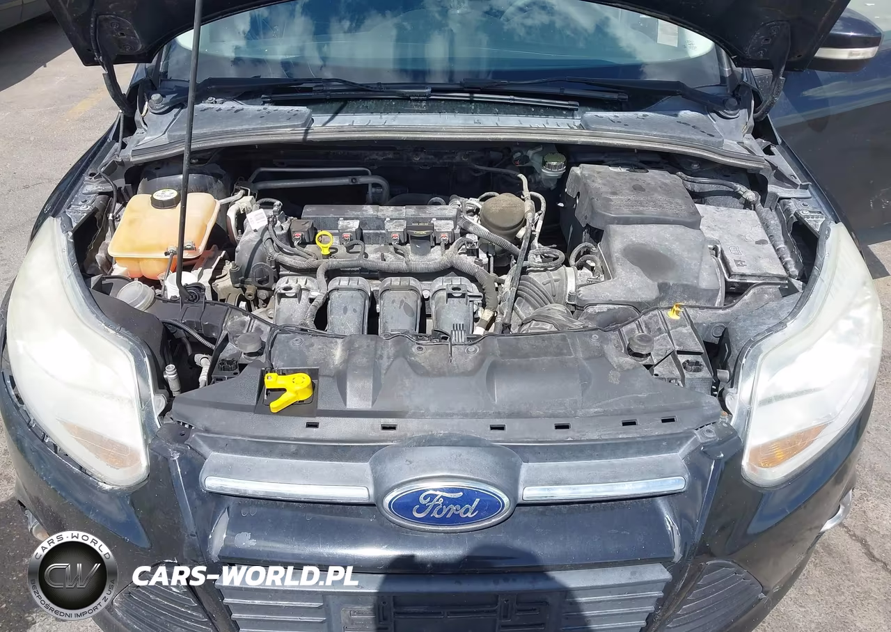 2013 Ford Focus Se VIN:1FADP3F23DL195058 - 10