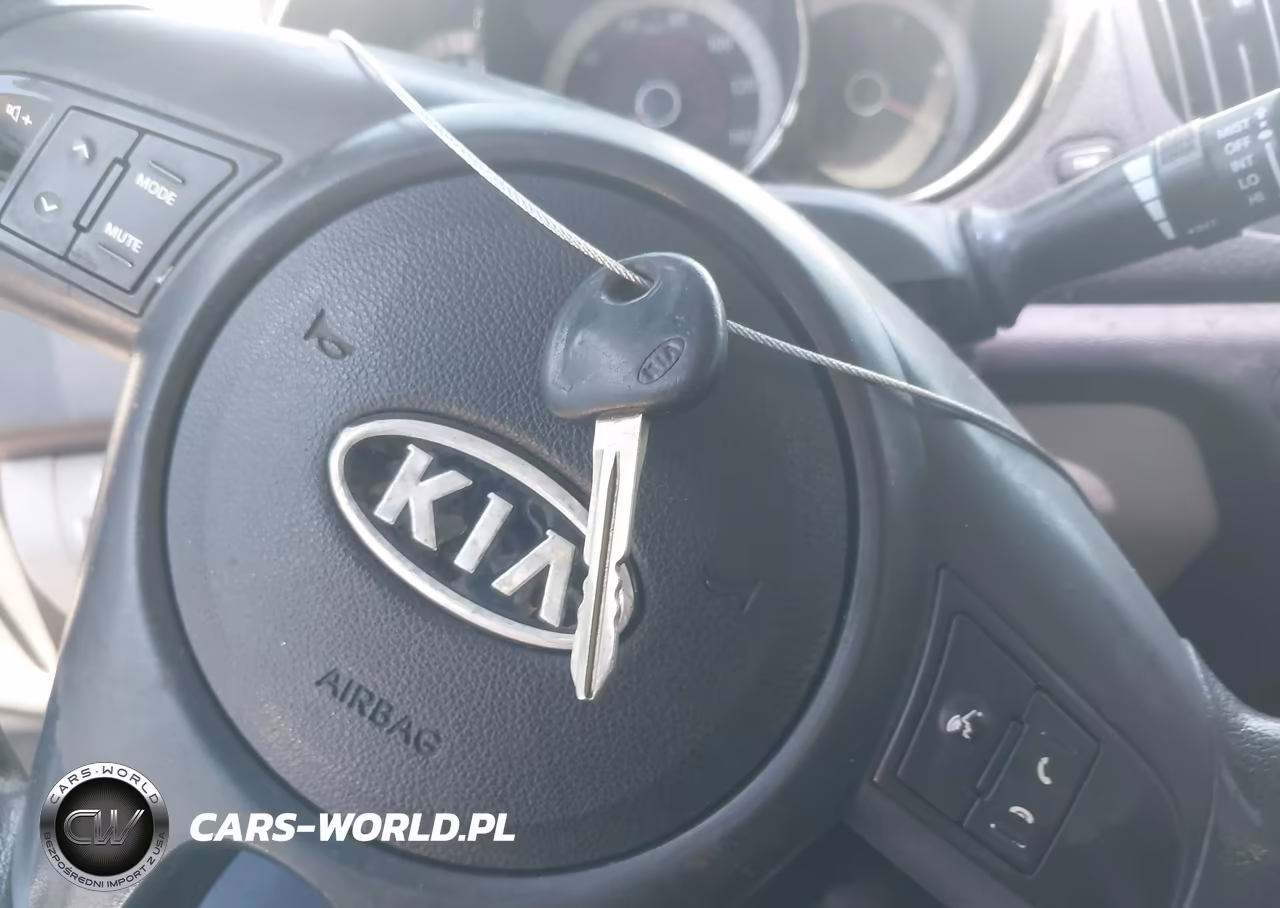 2013 Kia Forte Lx VIN:KNAFT4A25D5666298 - 11