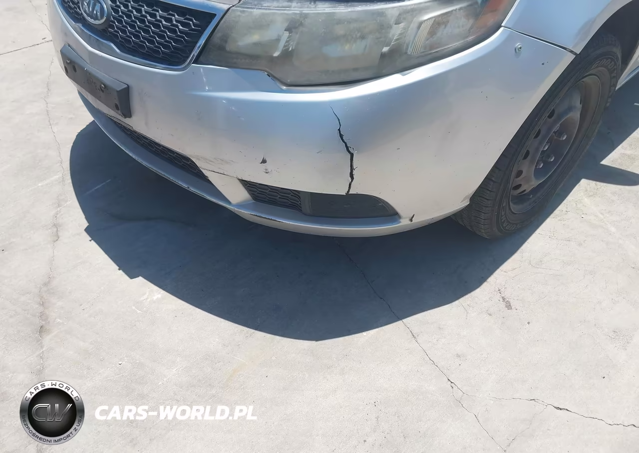 2013 Kia Forte Lx VIN:KNAFT4A25D5666298 - 12