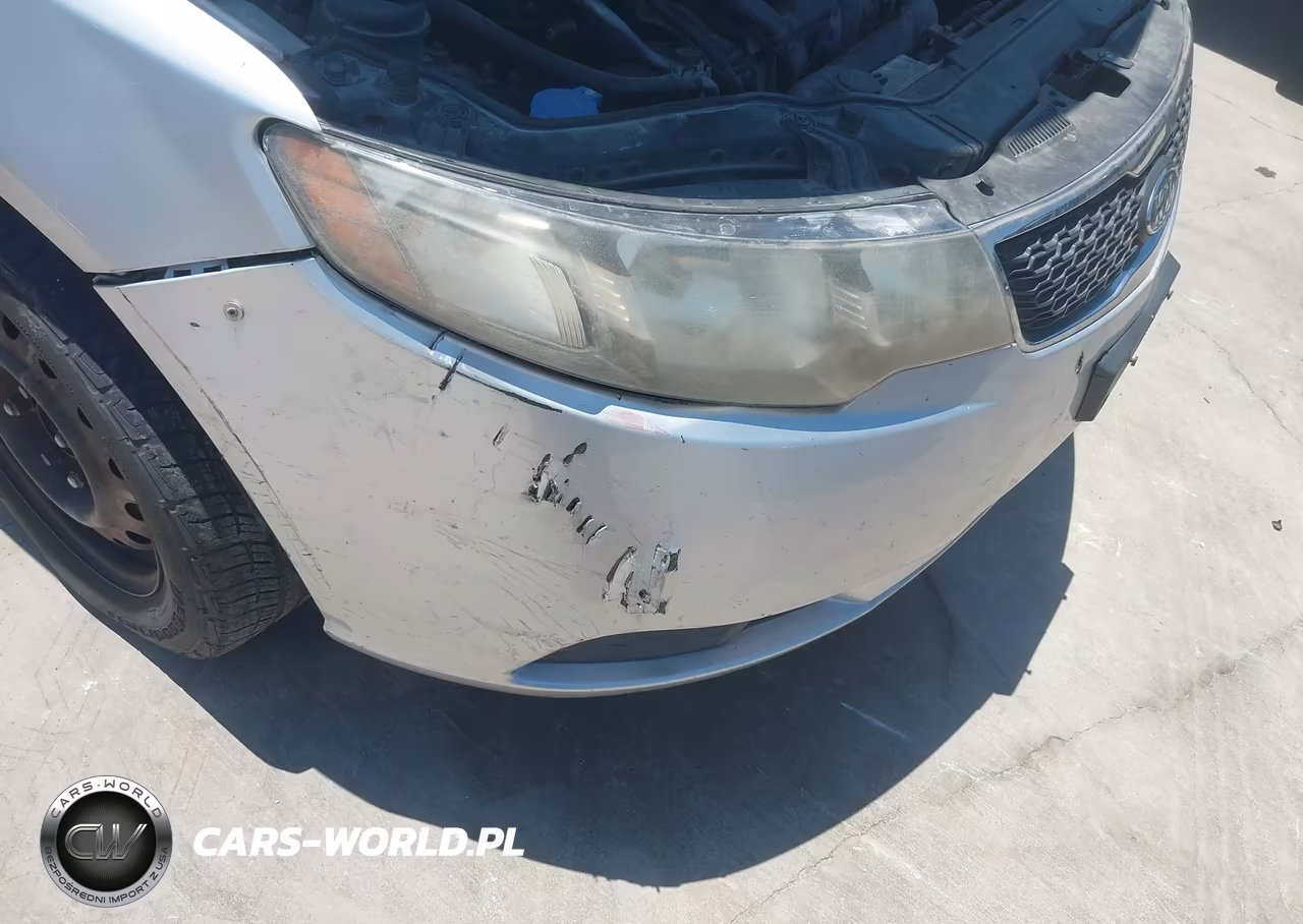 2013 Kia Forte Lx VIN:KNAFT4A25D5666298 - 14