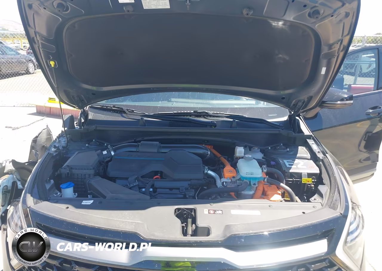 2024 Kia Sportage Plug-In Hybrid X-Line VIN:KNDPYDDH1R7155174 - 10