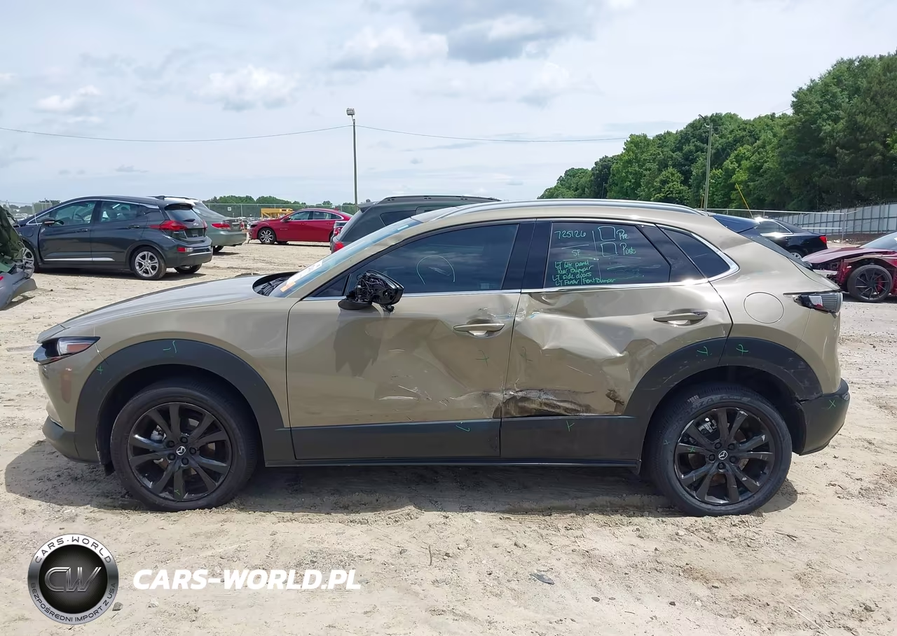 2024 Mazda Cx-30 2.5 Carbon Turbo VIN:3MVDMBXY9RM613224 - 14
