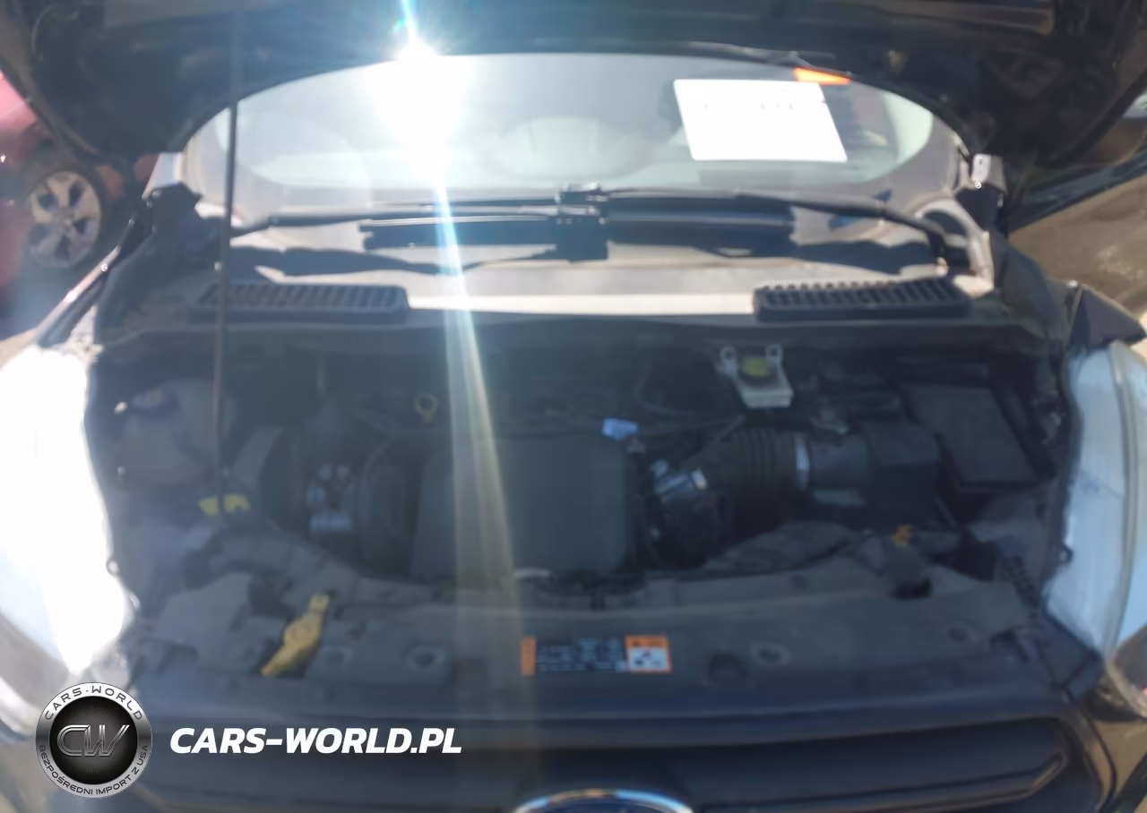 2017 Ford Escape S VIN:1FMCU0F77HUC44797 - 10