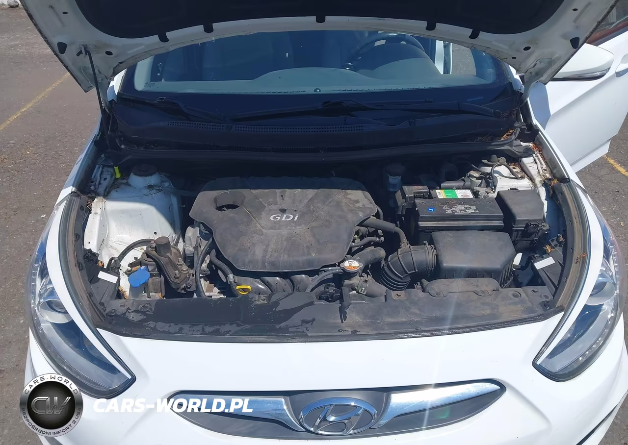 2014 Hyundai Accent Se VIN:KMHCU5AE4EU144655 - 10