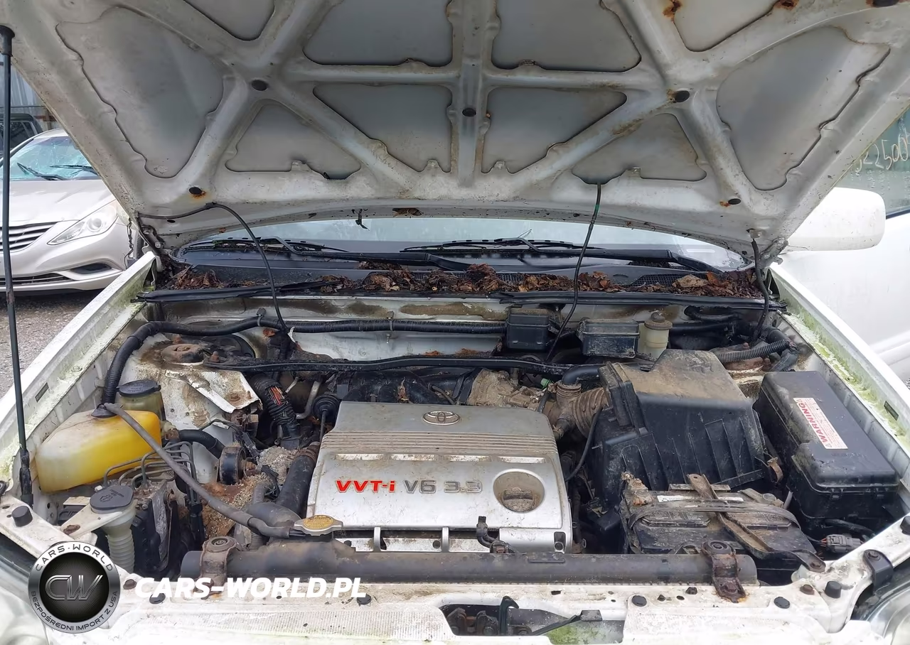 2004 Toyota Highlander V6 VIN:JTEEP21A440029653 - 10