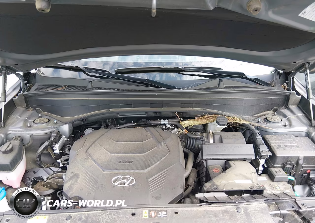 2025 Hyundai Palisade Limited VIN:KM8R54GE8SU910049 - 10