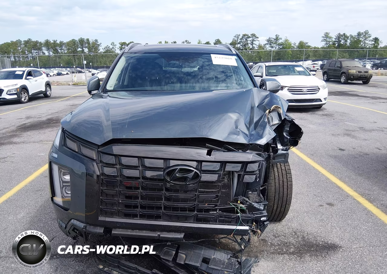 2025 Hyundai Palisade Limited VIN:KM8R54GE8SU910049 - 12