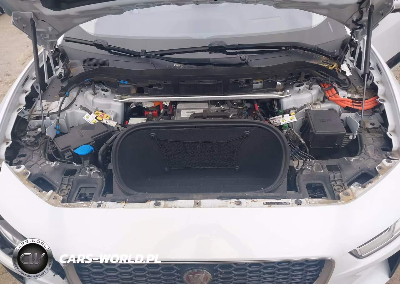 2019 Jaguar I-Pace Se VIN:SADHC2S17K1F76426 - 10