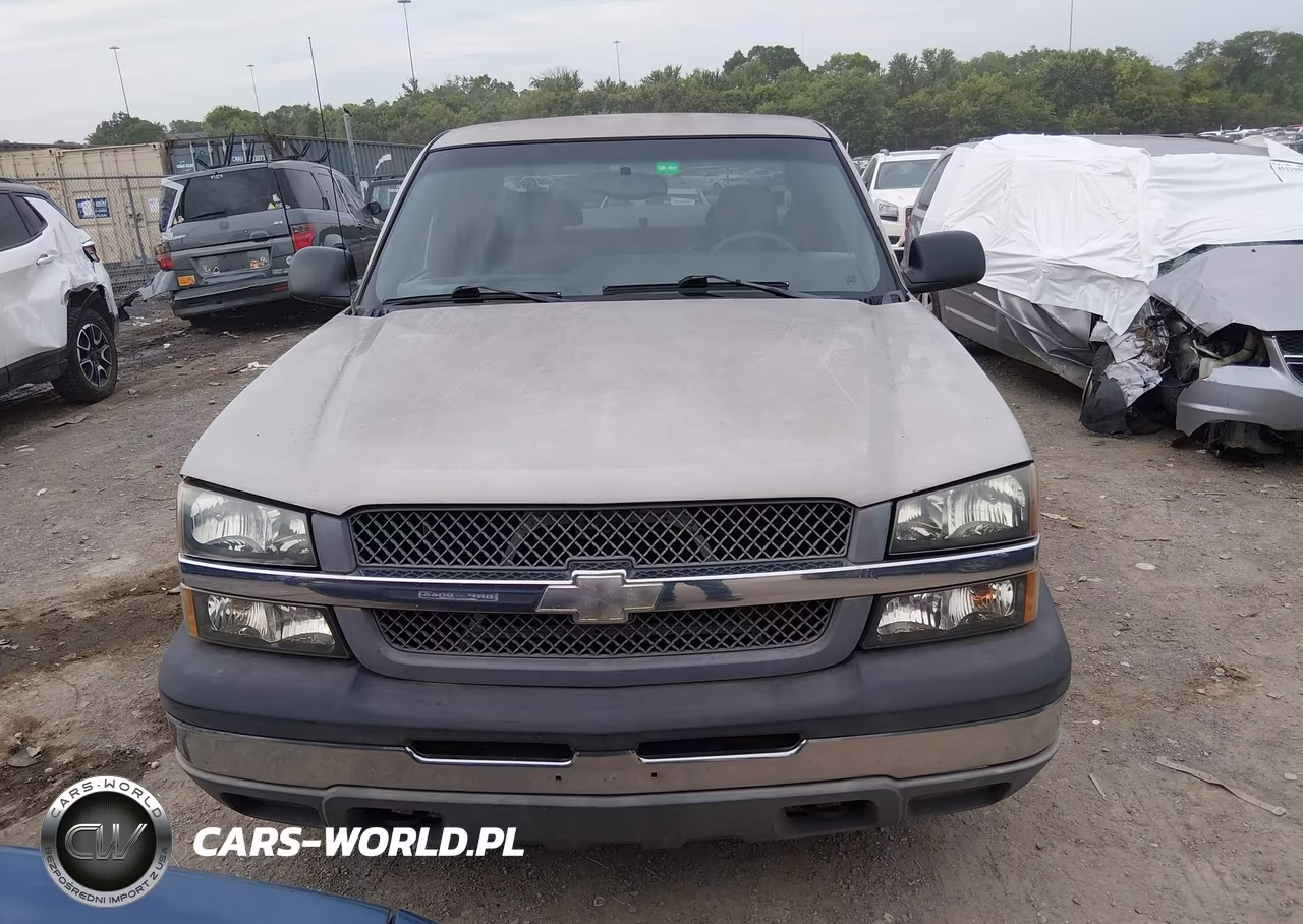 2004 Chevrolet Silverado 1500 Work Truck VIN:1GCEC19VX4E383603 - 12