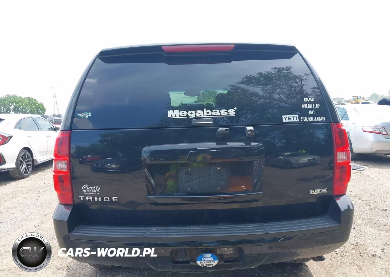 2010 Chevrolet Tahoe Lt VIN:1GNUKBE05AR114323 - 16