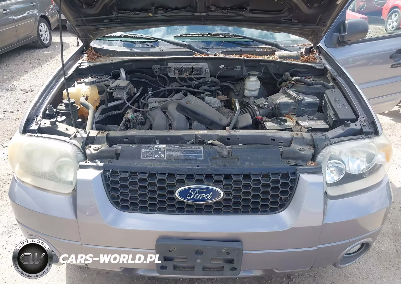 2007 Ford Escape Xlt-Xlt Sport VIN:1FMYU93117KA52313 - 10