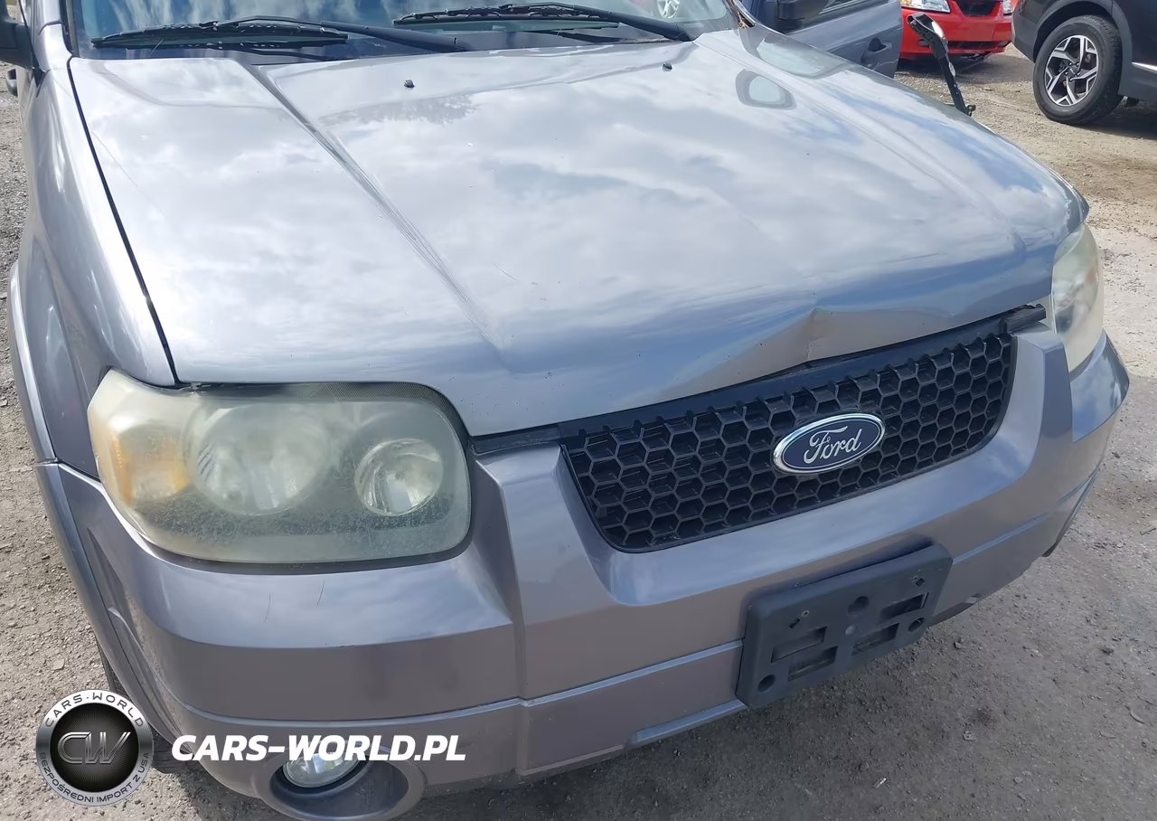 2007 Ford Escape Xlt-Xlt Sport VIN:1FMYU93117KA52313 - 6