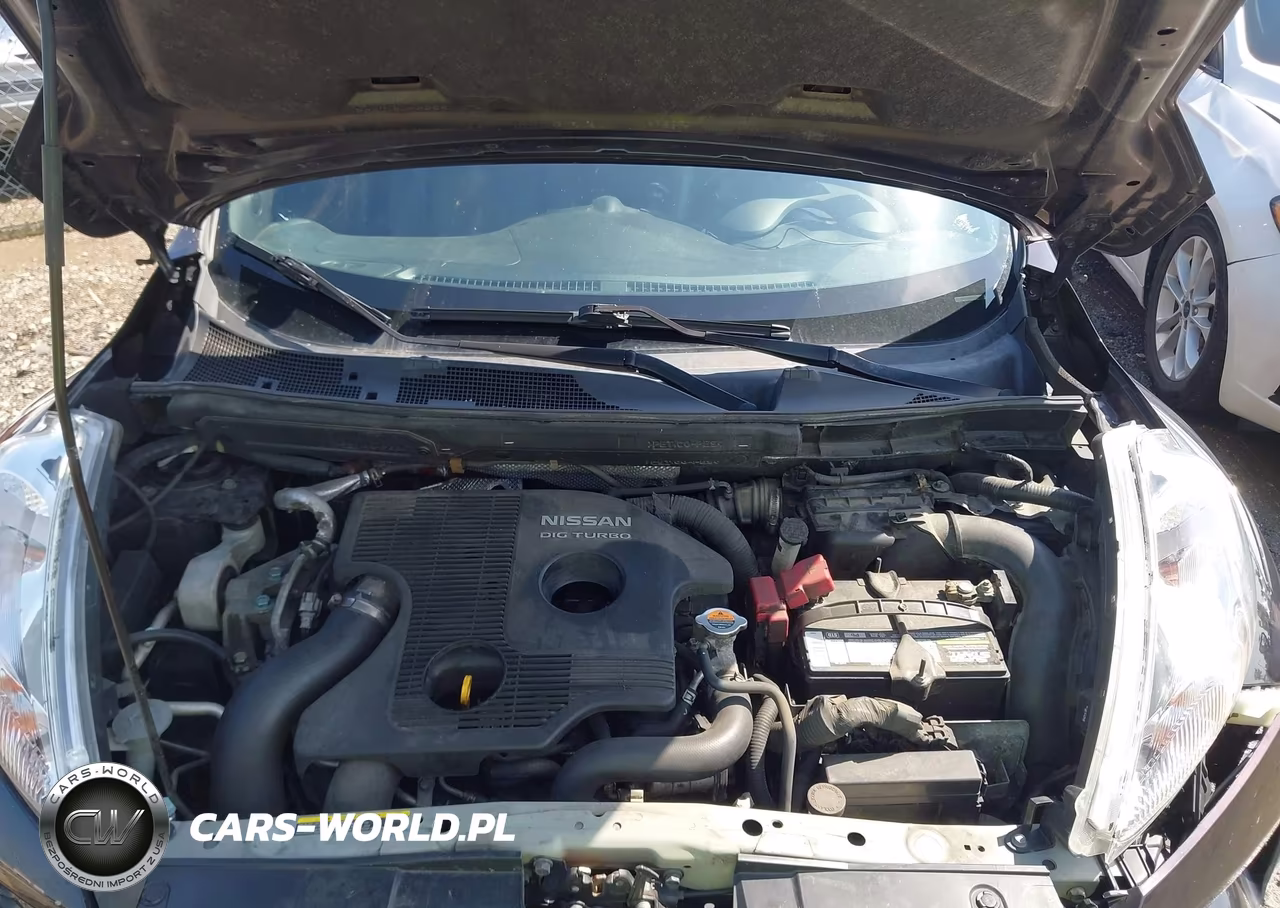 2014 Nissan Juke Sl VIN:JN8AF5MV4ET363496 - 10