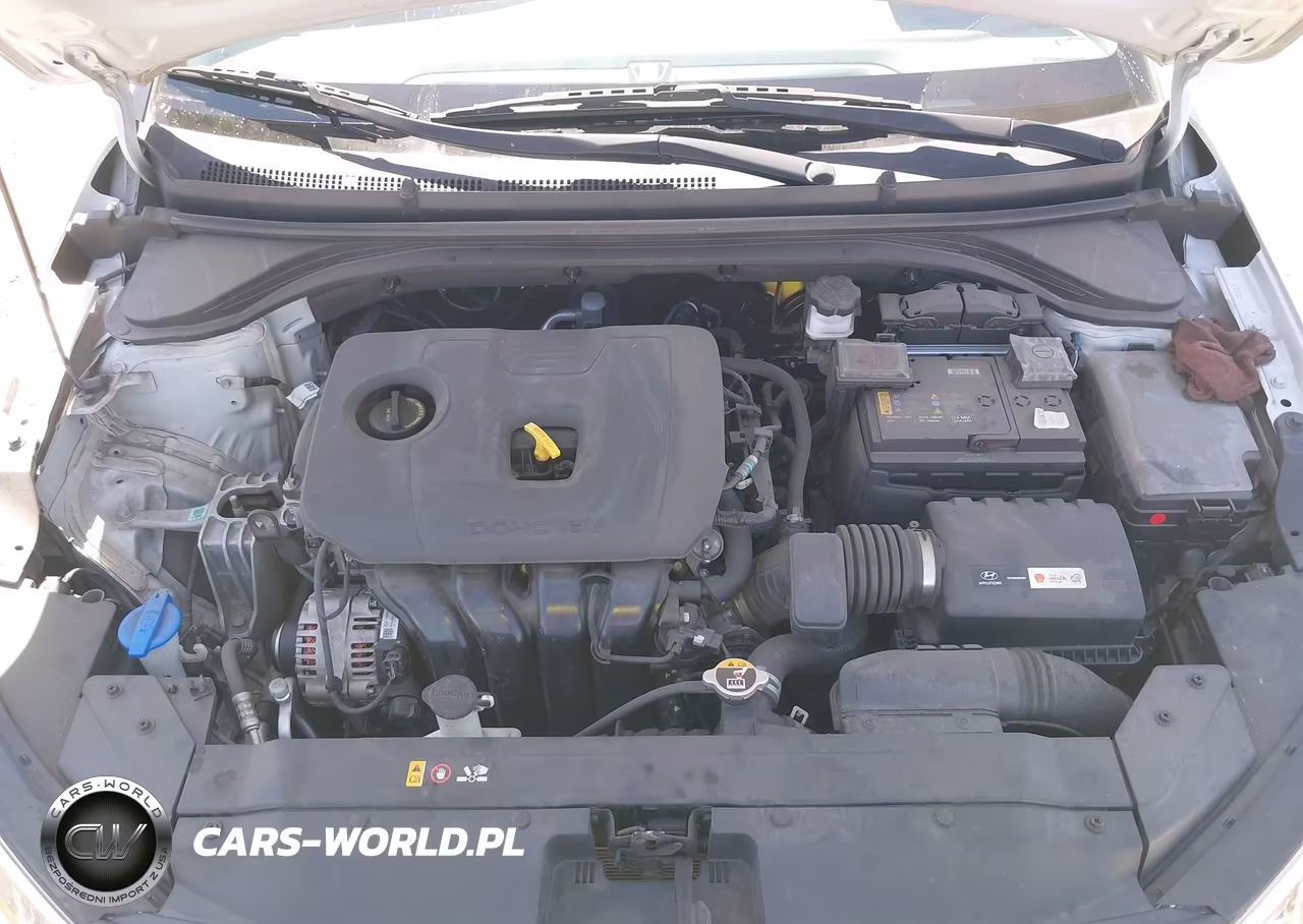 2019 Hyundai Elantra Se VIN:5NPD74LFXKH495933 - 10
