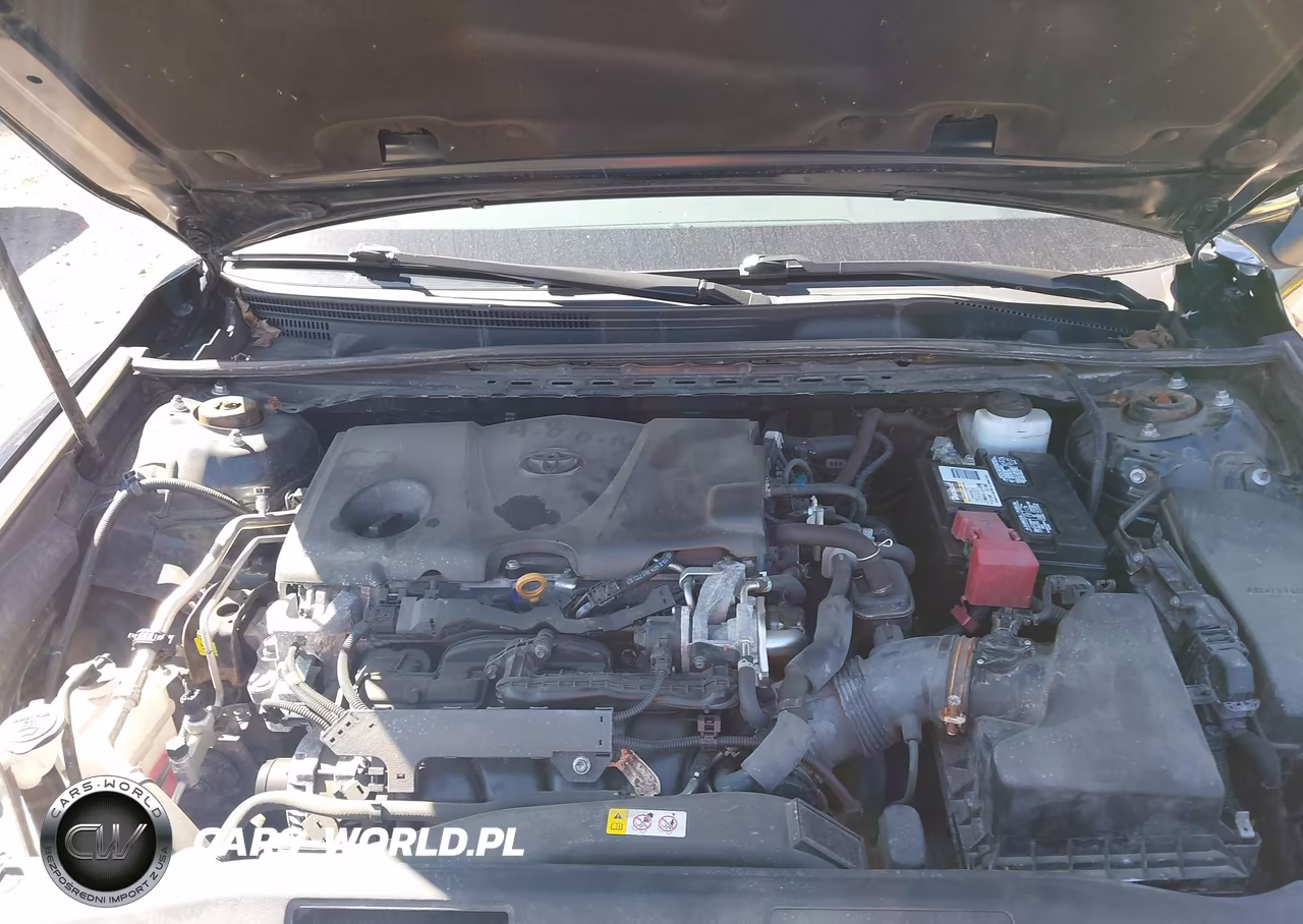2019 Toyota Camry Xle VIN:4T1B11HK3KU828648 - 10