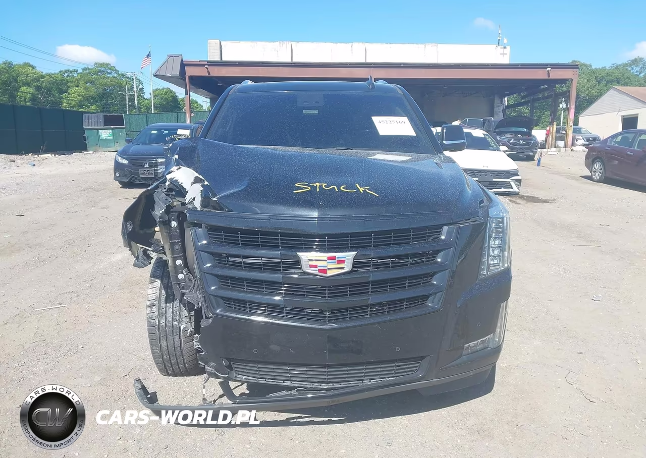 2019 Cadillac Escalade Esv Luxury VIN:1GYS4HKJ3KR341659 - 12