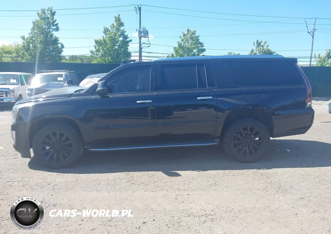2019 Cadillac Escalade Esv Luxury VIN:1GYS4HKJ3KR341659 - 14