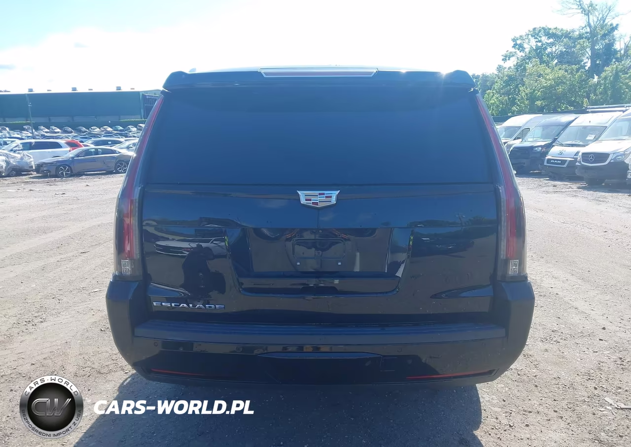 2019 Cadillac Escalade Esv Luxury VIN:1GYS4HKJ3KR341659 - 16