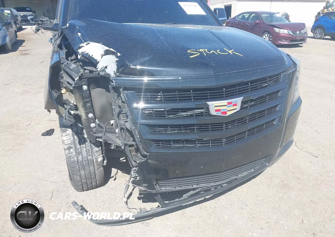 2019 Cadillac Escalade Esv Luxury VIN:1GYS4HKJ3KR341659 - 6