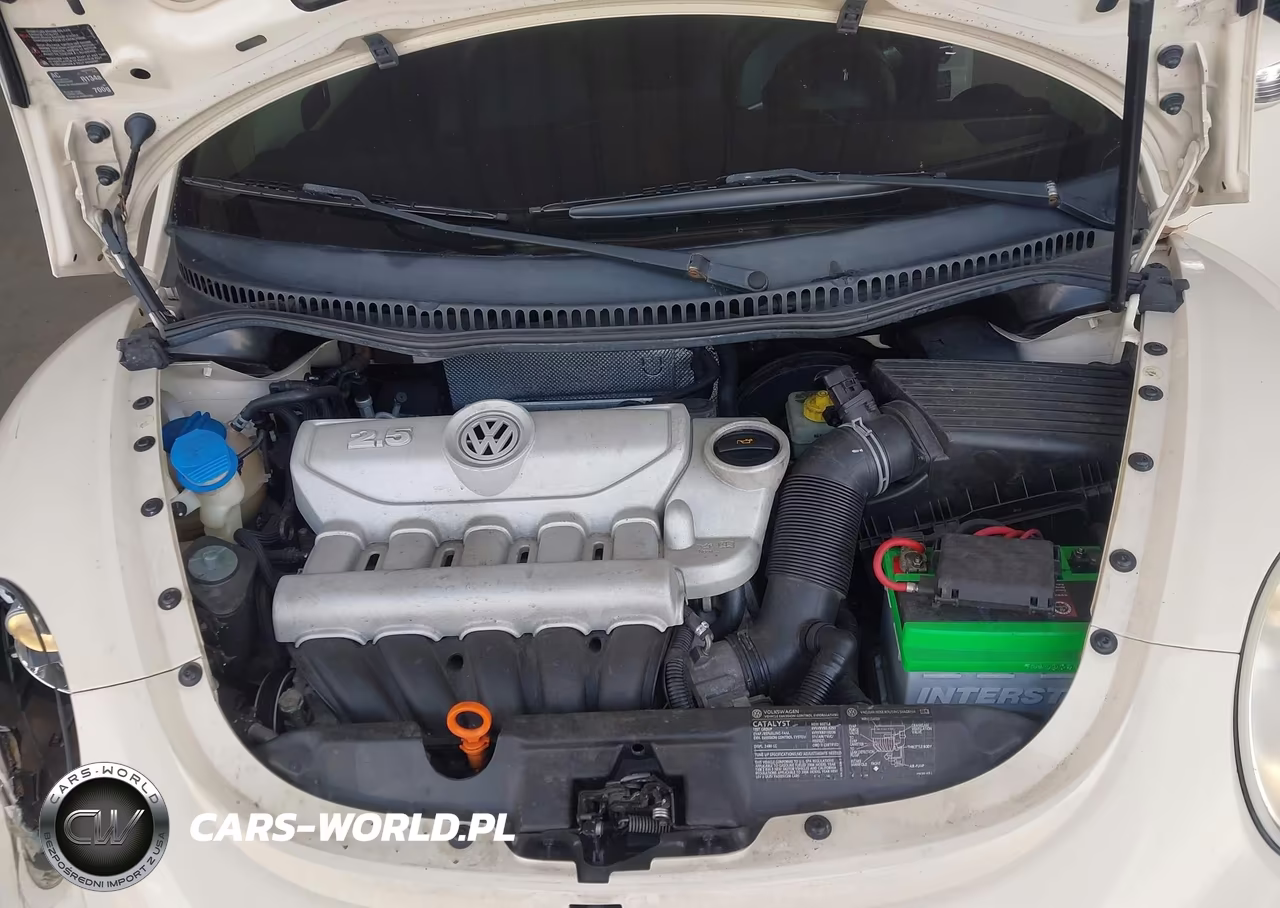 2006 Volkswagen New Beetle 2.5-2.5 (A6) VIN:3VWRW31C56M409999 - 10